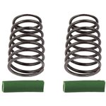 Team Associated RC10F6 Side Spring (2) (Green - 4.2lb)