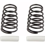 Team Associated RC10F6 Side Spring (2) (White - 4.7lb)