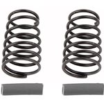 Team Associated RC10F6 Side Spring (2) (Gray - 5.2lb)