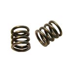 CRC 1/12th Scale Front End Spring (2) (.45mm - .60mm)