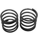 XRAY XLP Spring Set C=2.5 (2).