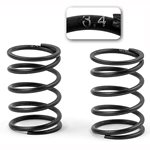 XRAY Spring-Set C = 3.4 Short (2).