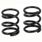 XRAY X12 Shock Spring (Black/C=5.0) (2).