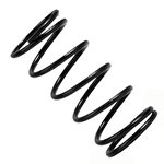 XRAY Center Shock Spring C=2.1 (Black).